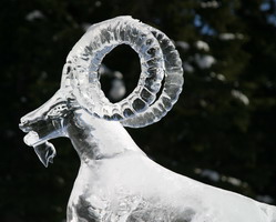 Виды льда Лед